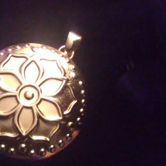 Special memories locket. - Picture 2 of 5